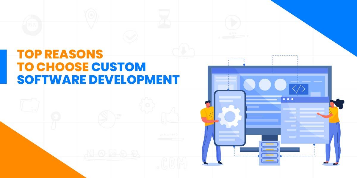 Custom Software Development